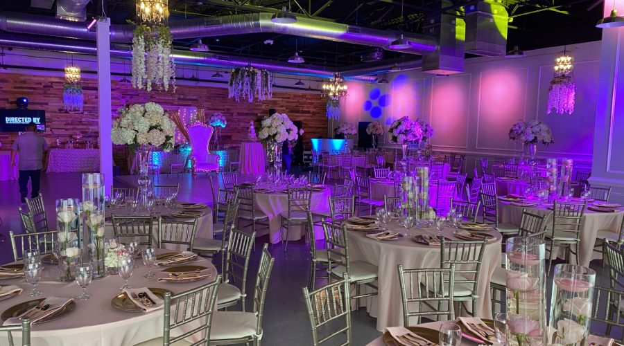 Actualización Apex Diversified 2026-01-21 (ES)