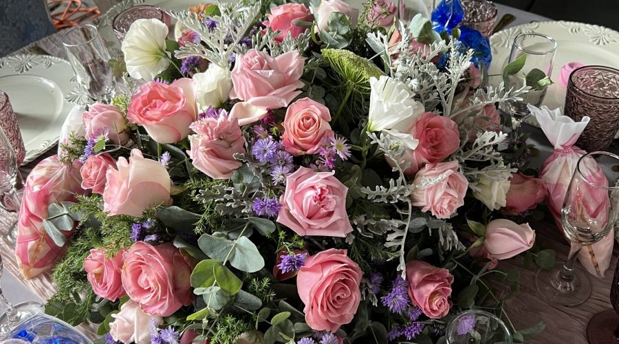 Apex Diversified Update 2026-02-20 (EN)