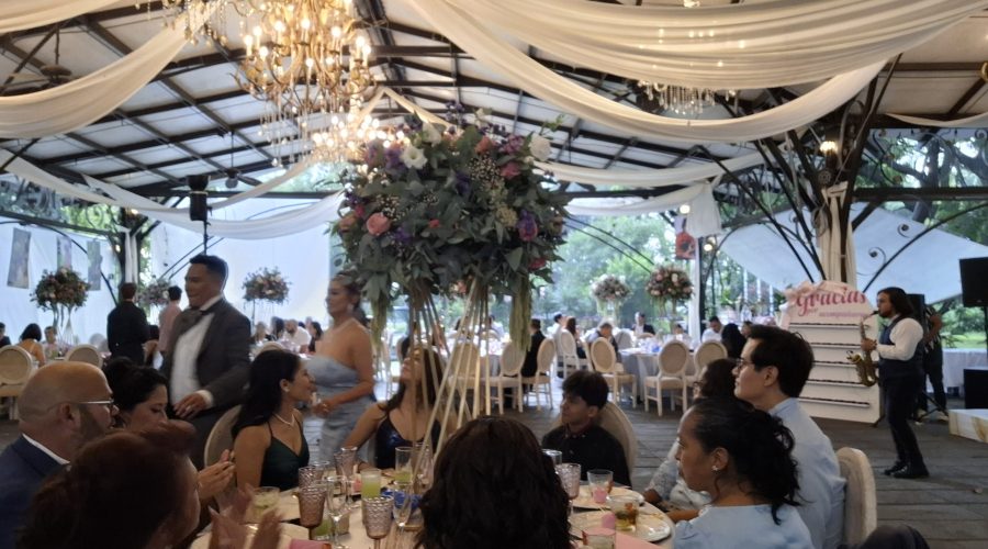 Apex Diversified Update 2026-03-28 (EN)