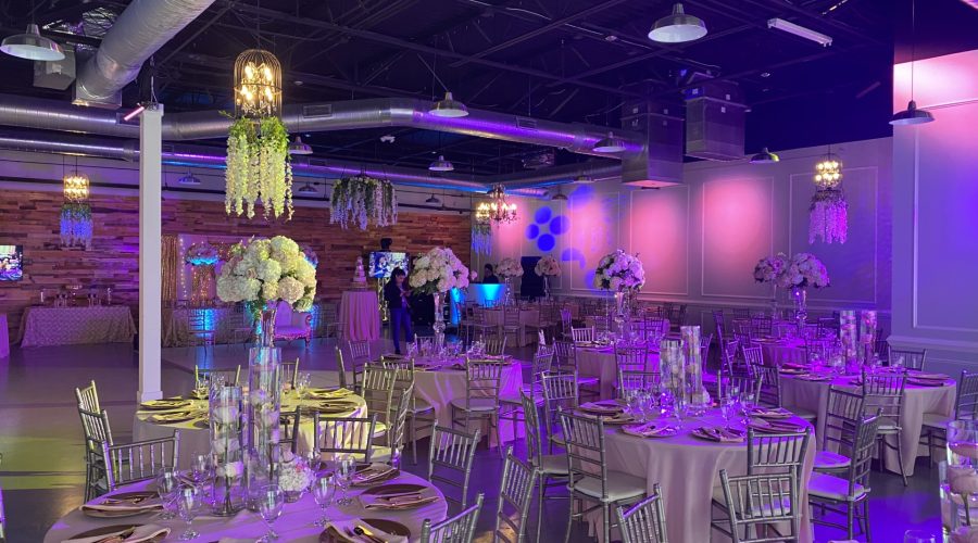 Actualización Apex Diversified 2026-03-20 (ES)